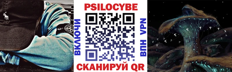 Псилоцибиновые грибы GOLDEN TEACHER  Полярный 